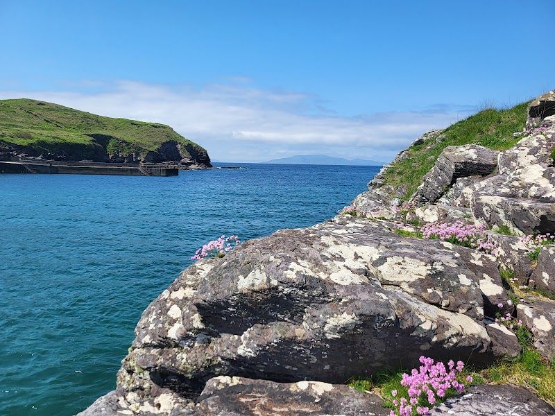 Skellig Sauna photo 1