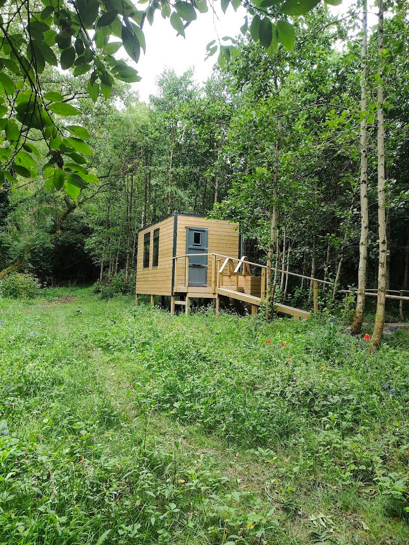 Woodfield sauna photo 2