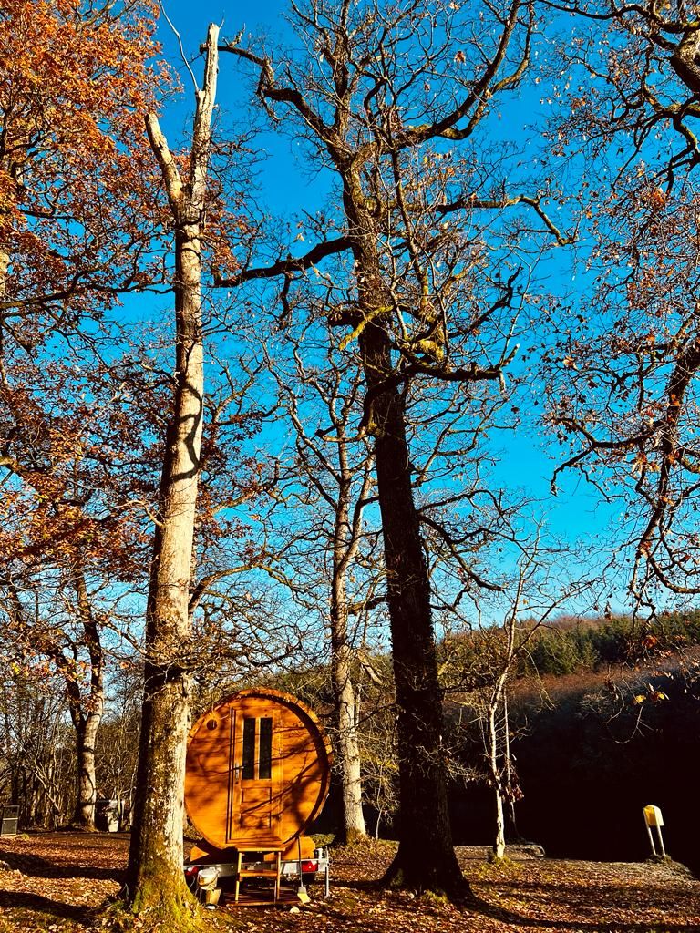 Live Lagom Sauna photo 3