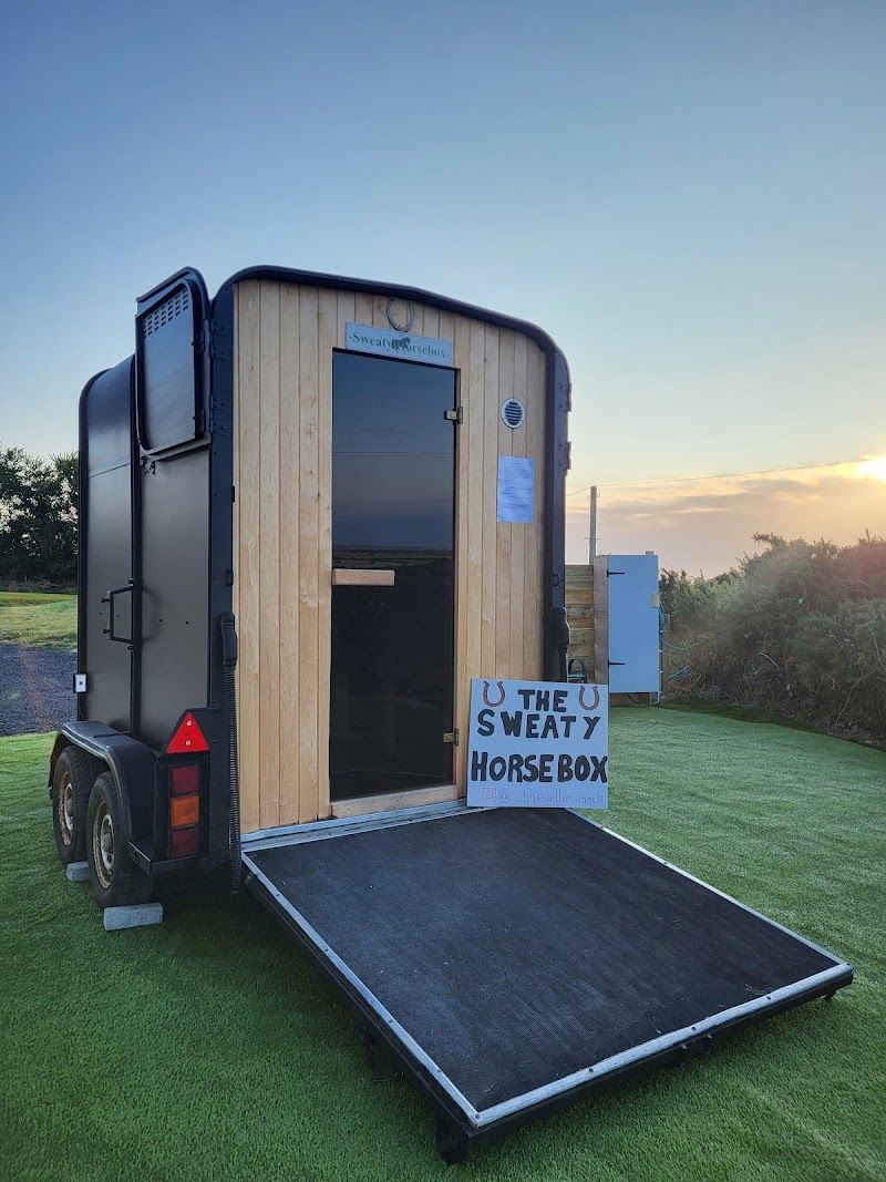 The Sweaty Horsebox Sauna photo 2